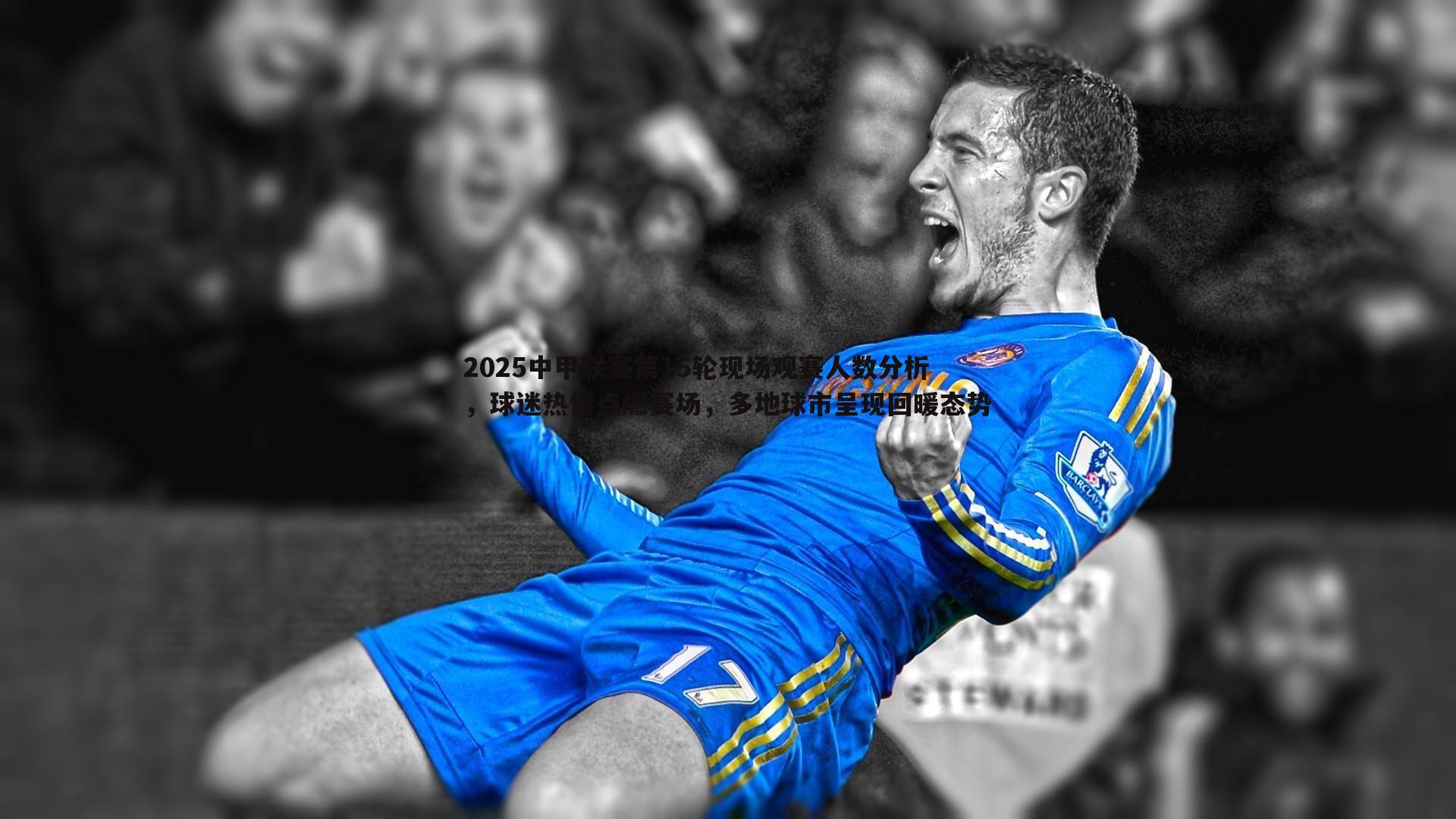 熊猫体育-2025中甲联赛第15轮现场观赛人数分析，球迷热情点燃赛场，多地球市呈现回暖态势