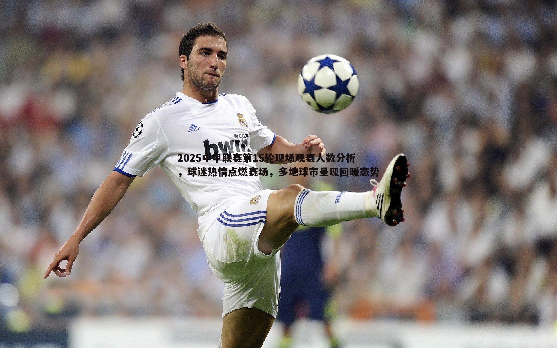 2025中甲联赛第15轮现场观赛人数分析，球迷热情点燃赛场，多地球市呈现回暖态势